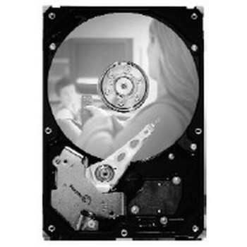 SEAGATE 250GB 3,5 Zoll ST3250820SCE SATA