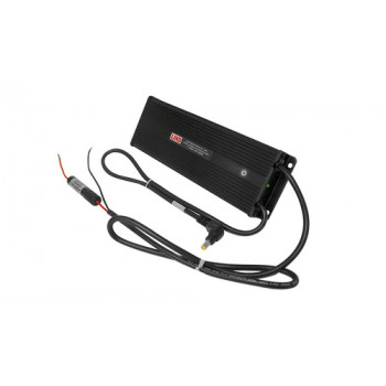Zebra Lind - Stromversorgung - Auto - DC 12 - 60 V