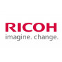 Ricoh D0CP9900 (D0CP-9900) Modifikationslager Registrierung 2