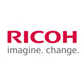 Ricoh D1942550 (D194-2550) Zahnrad-Reinigungseinheit Trommel-Service