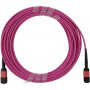 BlueOptics Ubiquiti UACC-OFC-MA-MPMP-20M MPO-MPO Multimode-OM4-Patchkabel 20 Meter