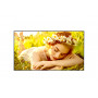 LG 50UL5Q-M - 50 Zoll Standard Mid UHD Display - 127 cm - 50