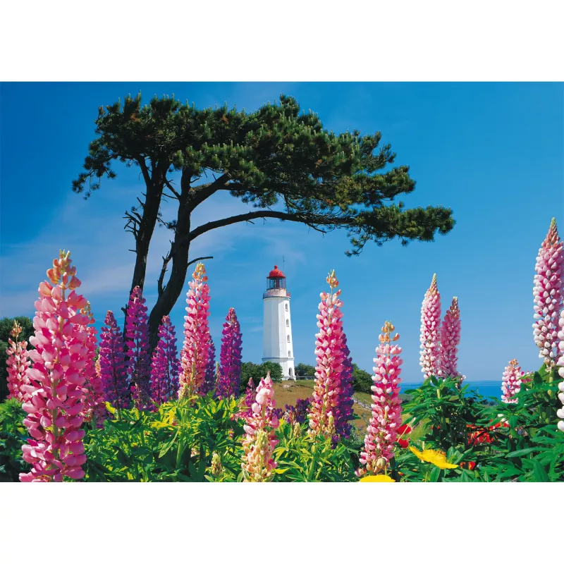 Schmidt Spiele Dornbusch Leuchtturm, Hiddensee 1000-Teile Puzzle