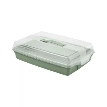 Curver rechteckige Kuchen-Transportbox 45x29,5x11,1 cm Grün