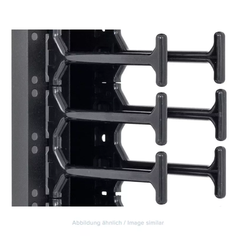 TRITON RAB-VP-H10-X1 Vertikales Kabelmanagement-Panel 10U, Doppelreihen-Kamm, Schwarz