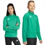 adidas Entrada 26 Trainingsshirt Kinder Sweatshirt grün JZ6632 116cm