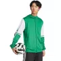 Herren adidas Squadra 25 Hoody Sweatshirt grün und weiß JP3164 M