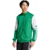 Herren adidas Squadra 25 Hoody Sweatshirt grün und weiß JP3164 M