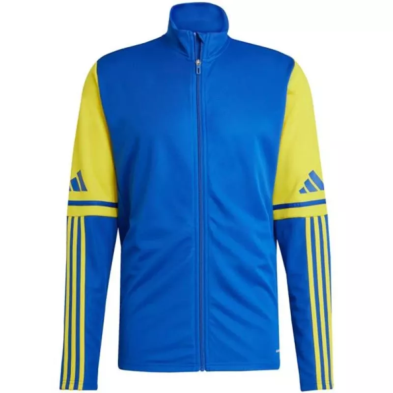 Herren adidas Squadra 25 Trainings-Sweatshirt blau-gelb JP3153 XL