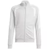 Kinder Sweatshirt adidas Tiro 26 League Training hellgrau JY7198 140cm