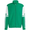 adidas Squadra 25 Presentation Herren-Trainingsjacke grün JP3165 M