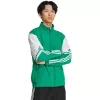 adidas Squadra 25 Presentation Herren-Trainingsjacke grün JP3165 M
