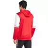 Herren Kapuzenpullover adidas Squadra 25 Hoody rot JD2990 L