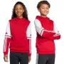 Kinder Kapuzenpullover adidas Squadra 25 Sweat Hoody rot JD4805 128cm