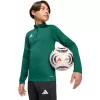 Kinder-Trainingsjacke adidas Entrada 26 Training Top grün KE9825 152cm