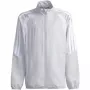 Kinderbluse adidas Tiro 26 League Presentation hellgrau JZ9053 140cm