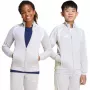 adidas Tiro 26 League Training Sweatshirt für Kinder hellgrau JY7198 152cm