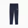 Herren-Trainingshose Puma Team Goal Training marineblau 658639 06 S