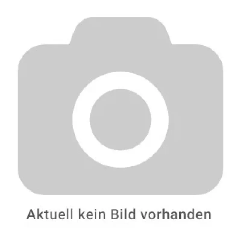 REINER SCT B6 Automatische Nummeriermaschine, 6-stellig, 5,5 mm, Hochglanzverchromtes Metall
