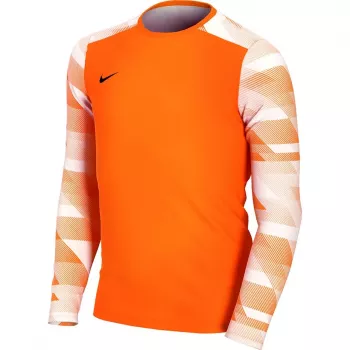 Nike Dry Park IV JSY LS GK Junior Torwart Sweatshirt Orange CJ6072 819 XS