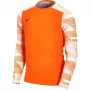 Nike Dry Park IV JSY LS GK Junior Torwart Sweatshirt Orange CJ6072 819