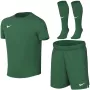 Nike Dri-FIT Park VIII Sport-Set für Kleinkinder, Grün, HV8260 302, Größe S