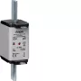 HAGER LNH2080MK NH-Sicherungseinsatz 80A 500V gG Größe 2C mit Kennmelder