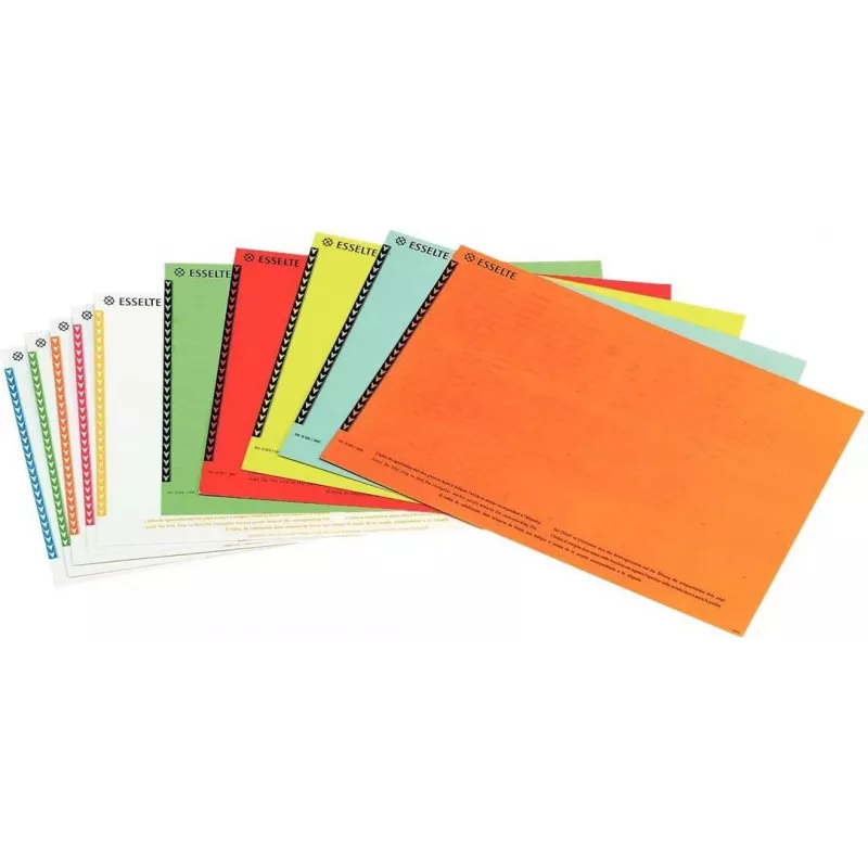 LEITZ Esselte Hängeregister-Etiketten für Schränke, Weiß, 60 x 12 mm, 100 Etiketten (326400)