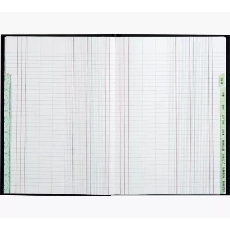 Le Dauphin Terminplaner Buch A4, 96 Seiten, 12 Spalten, grüner Einband 39721D