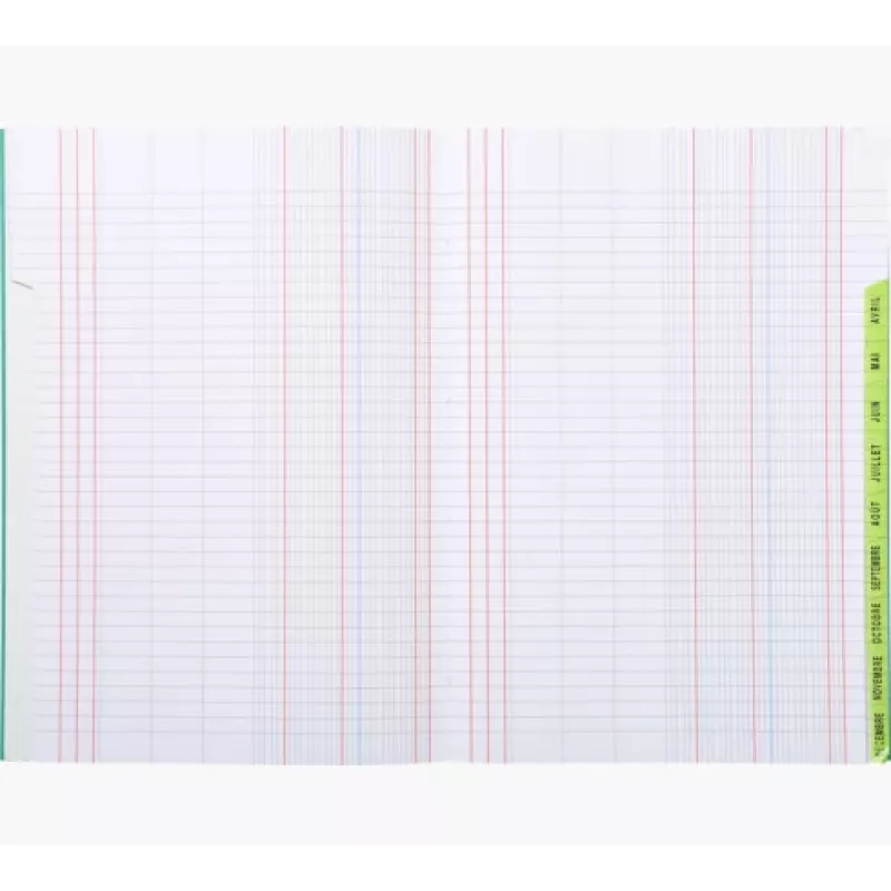 Le Dauphin Terminplaner Buch A4, 96 Seiten, 12 Spalten, grüner Einband 39721D