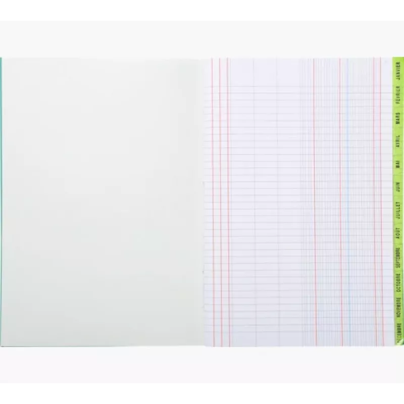 Le Dauphin Terminplaner Buch A4, 96 Seiten, 12 Spalten, grüner Einband 39721D