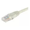 EXERTIS CONNECT Cat6 U/UTP Patchkabel, 0,5 m, Grau, RJ45, Snagless EXC848050