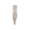 EXERTIS CONNECT Cat6 U/UTP Patchkabel, 0,5 m, Grau, RJ45, Snagless EXC848050
