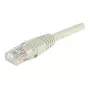 Dexlan RJ-45 Cat6 U/UTP Netzwerk-Patchkabel, 2m, Grau 854184
