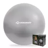 SCHILDKROT Gymnastikball 65 cm Silber Anti-Burst 960156