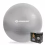 SCHILDKROT Gymnastikball 65 cm Silber Anti-Burst 960156