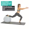 SCHILDKROT Gymnastikball 65 cm Silber Anti-Burst 960156