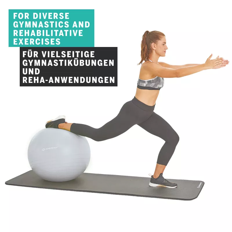 SCHILDKROT Gymnastikball 65 cm Silber Anti-Burst 960156