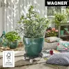 WAGNER design yourself Pflanzenroller GH0557, Kunststoff, rund, hellgrau, Ø 38,5 cm, 1 Stk. (20055701)