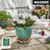Wagner design yourself Pflanzenroller WPC GH 0535 Rund Braun 29 x 7,5 cm 20053501