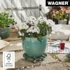WAGNER design yourself Pflanzenroller GH0528 Kunststoff, Ø 29 cm Dunkelgrün Rund, 1 Stk. 20052801