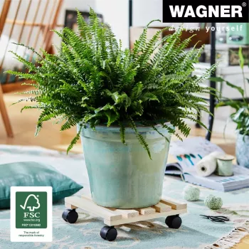 WAGNER design yourself Pflanzenroller GH0037, Buchenholz, Beige, Quadratisch, 29 x 29 x 8,3 cm, 100 kg Traglast 20003701