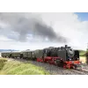 Märklin BR 24 Dampflokomotive 36244