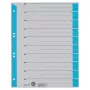 LEITZ A4 hellblaue Karton-Trennblätter, 25er-Pack, Universal-Lochung 16523030