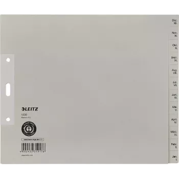 LEITZ Papierregister Dezember-Januar A4 13-Tab Kartonregister 12303085