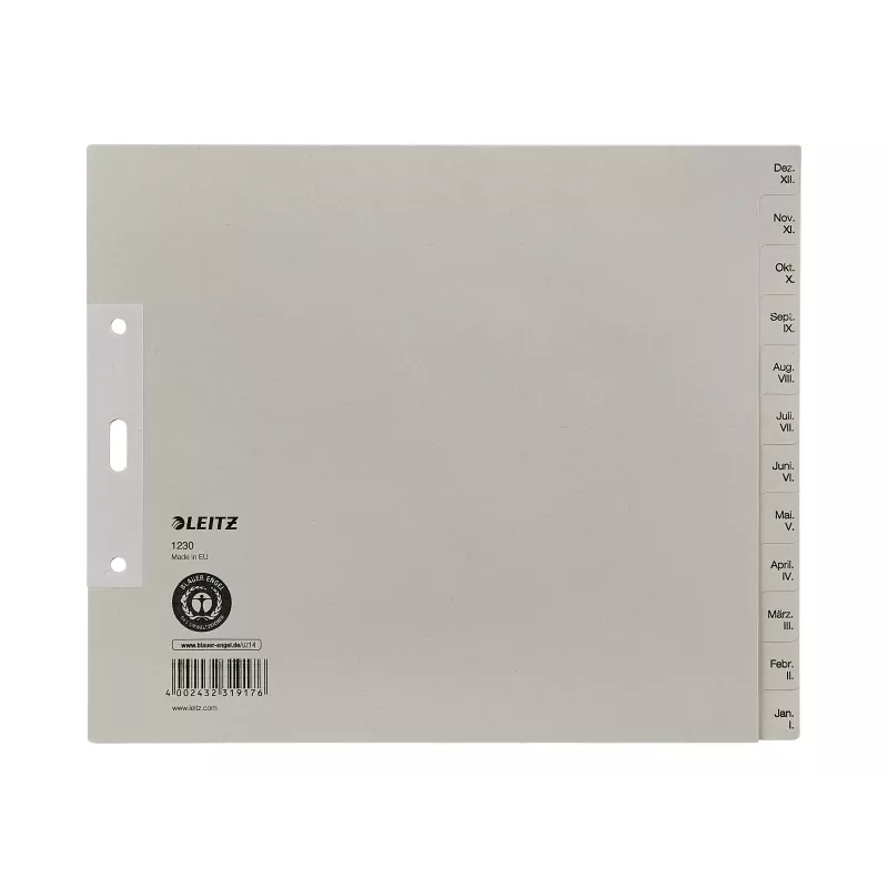 LEITZ Papierregister Dezember-Januar A4 13-Tab Kartonregister 12303085