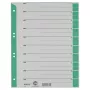 LEITZ 16523055 A4 Karton-Trennblätter, grün, 25 Blatt, Universal 11-Loch, 160 g/m²