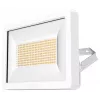 Theben theLeda B50 dual WH LED Flutlicht 50W 3000/4000K umschaltbar Weiß 1020676