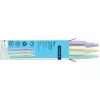 Schneider Reco Pastel Kugelschreiber, blaue Tinte, 3er-Pack, verschiedene Pastellfarben 131893