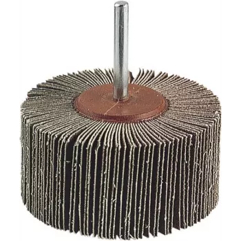 Wolfcraft 2037000 Fächerschleifscheibe, 20 mm Durchmesser